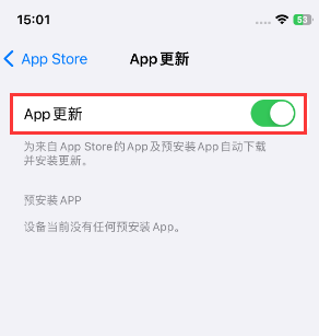 波密苹果15维修中心如何让iPhone15APP自动更新